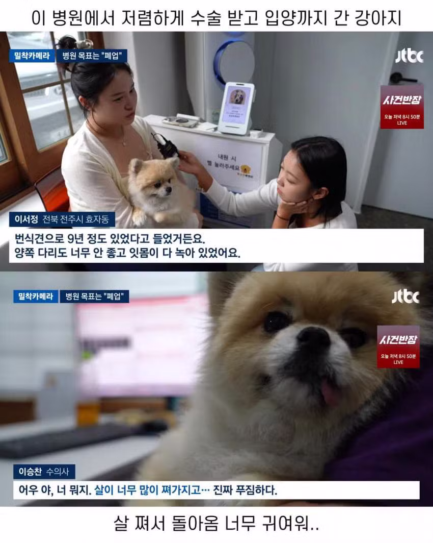 진료비 천원이라는 동물병원.jpg - 인벤 인기글 이미지 5 - 밈카세