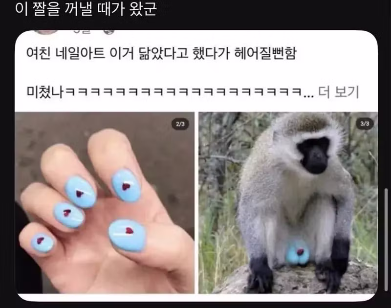 여자들의 망한 네일 인증대결 - 인벤 인기글 이미지 4 - 밈카세