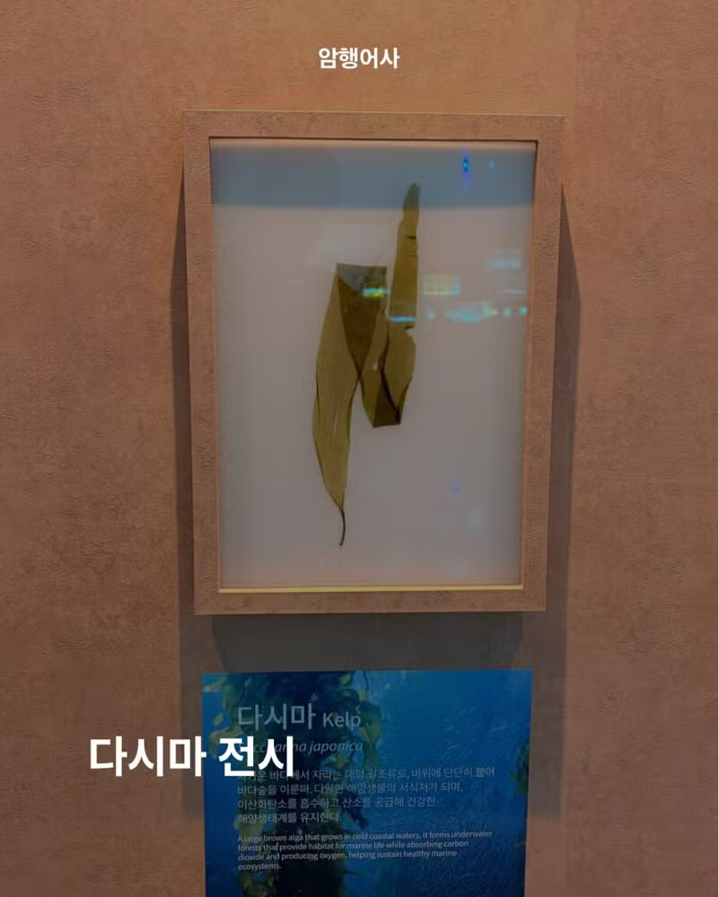 2천억 쏟아부은 여수 세계섬 박람회 퀄리티 수준 - 개드립 인기글 이미지 2 - 밈카세
