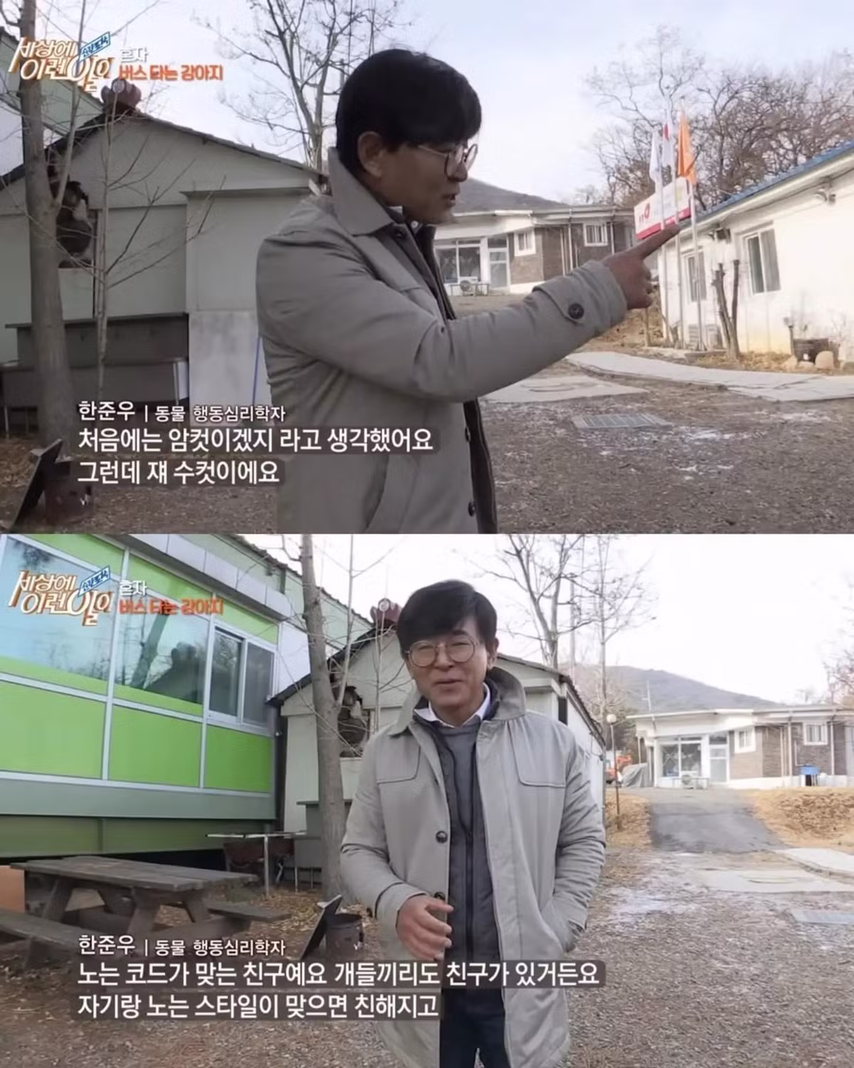 친구 만나러 매일 무임승차하는 강아지 - 인스티즈 인기글 이미지 10 - 밈카세