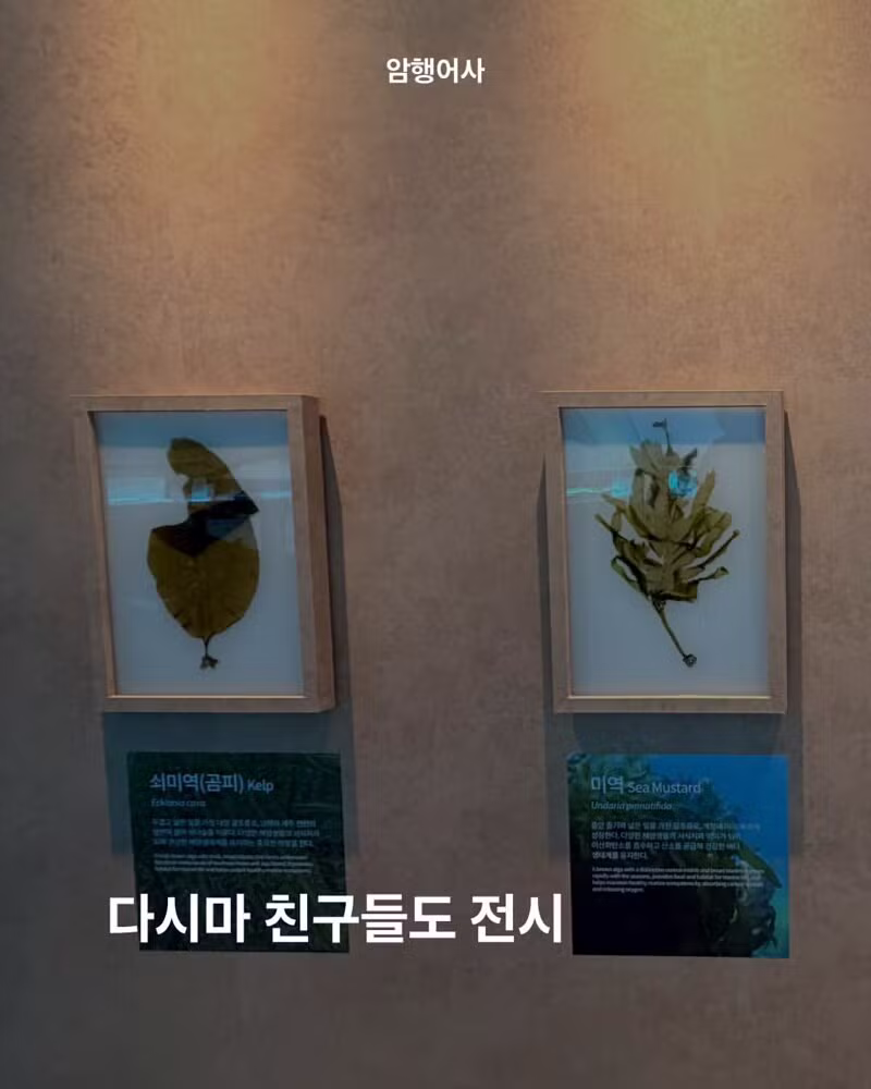 2천억 쏟아부은 여수 세계섬 박람회 퀄리티 수준 - 개드립 인기글 이미지 3 - 밈카세