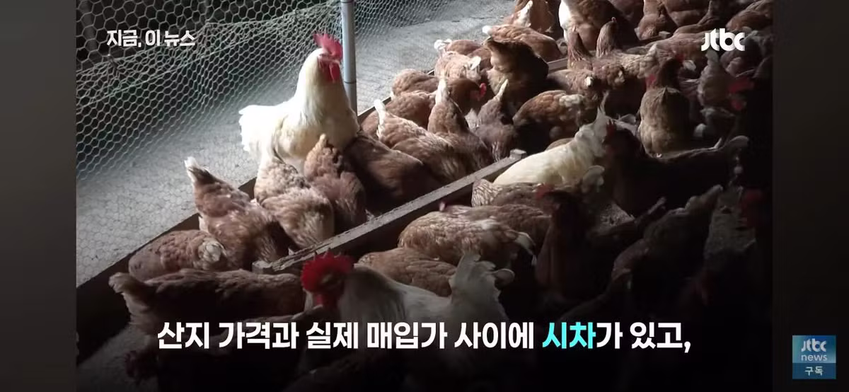 닭값 떨어졌는데 가격 안 내리는 치킨집들 - 인벤 인기글 이미지 9 - 밈카세