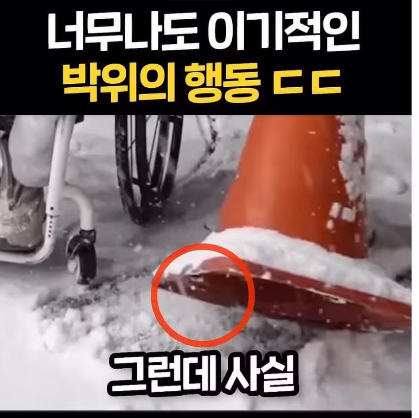 선한 영향력 논란 터진 박위 - 보배드림 인기글 이미지 4 - 밈카세