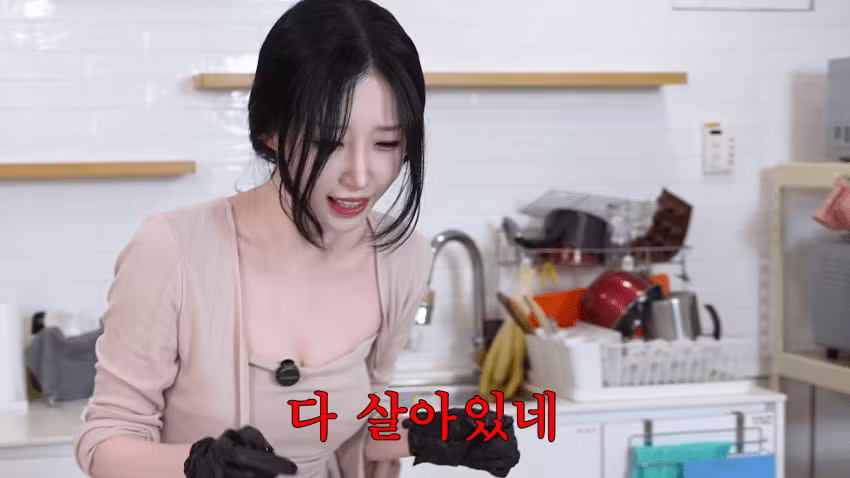 미래 남편을 위한 여캠의 신부수업.jpg - 에토랜드 인기글 이미지 29 - 밈카세