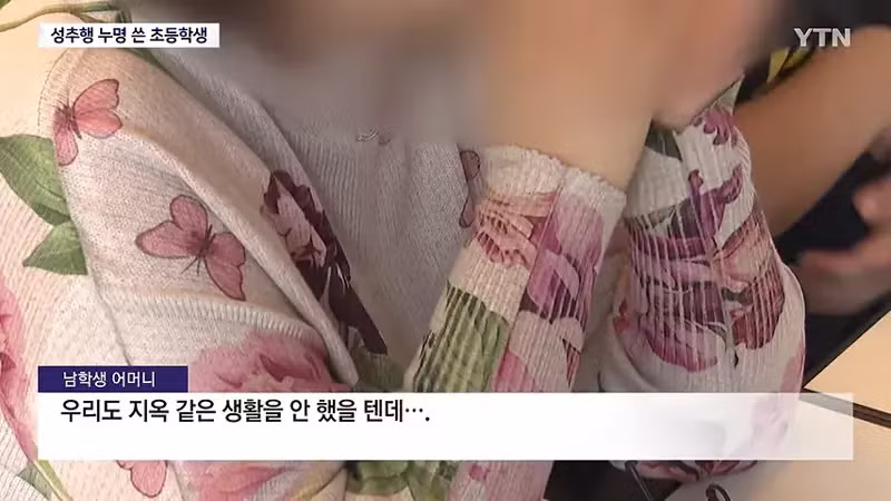 성추행범 누명 쓴 초등학생 사건 - SLR클럽 인기글 이미지 6 - 밈카세