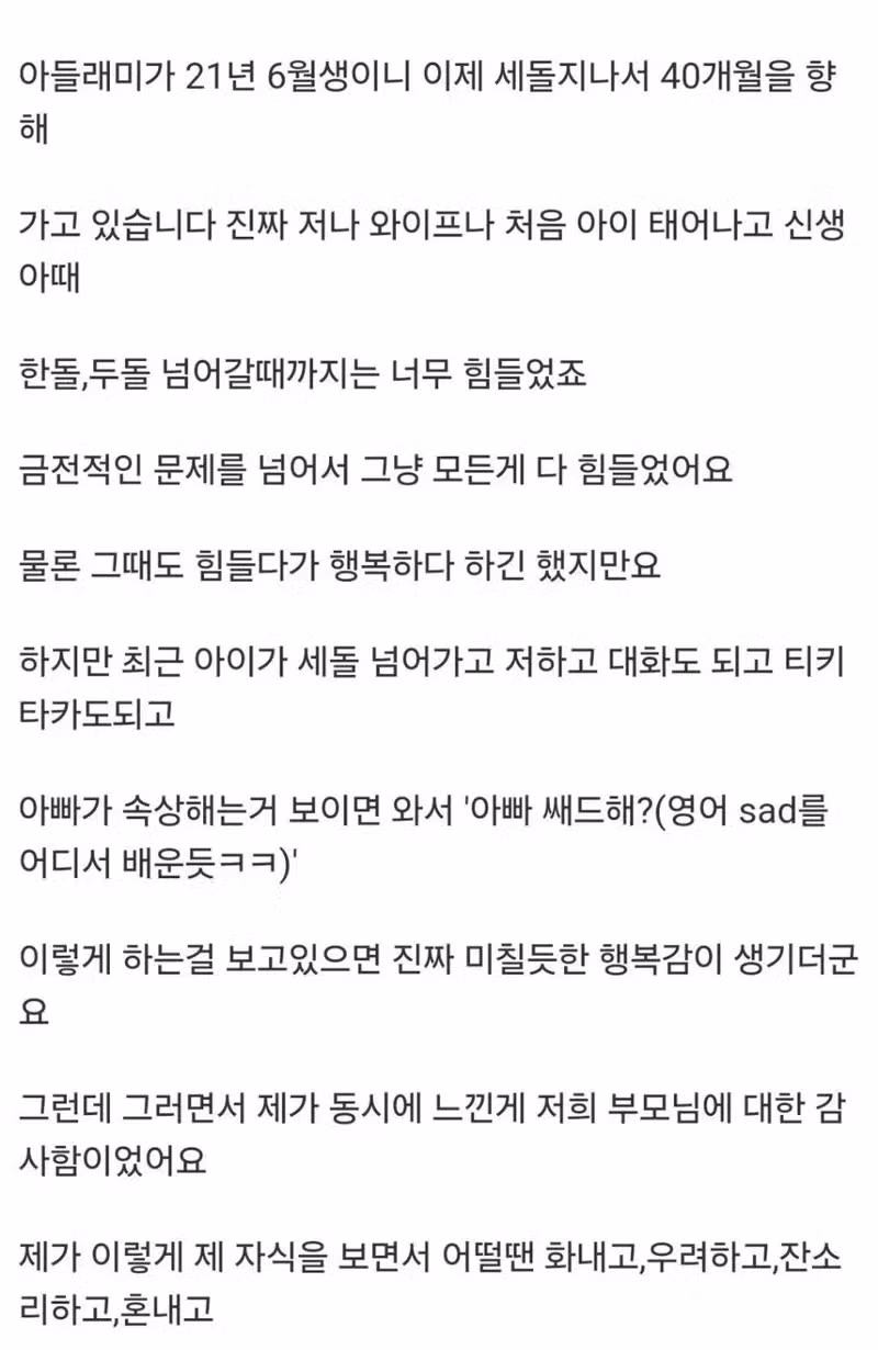 딩크로 살다가 아이 낳은 사람들의 후기 - 개드립 인기글 이미지 2 - 밈카세