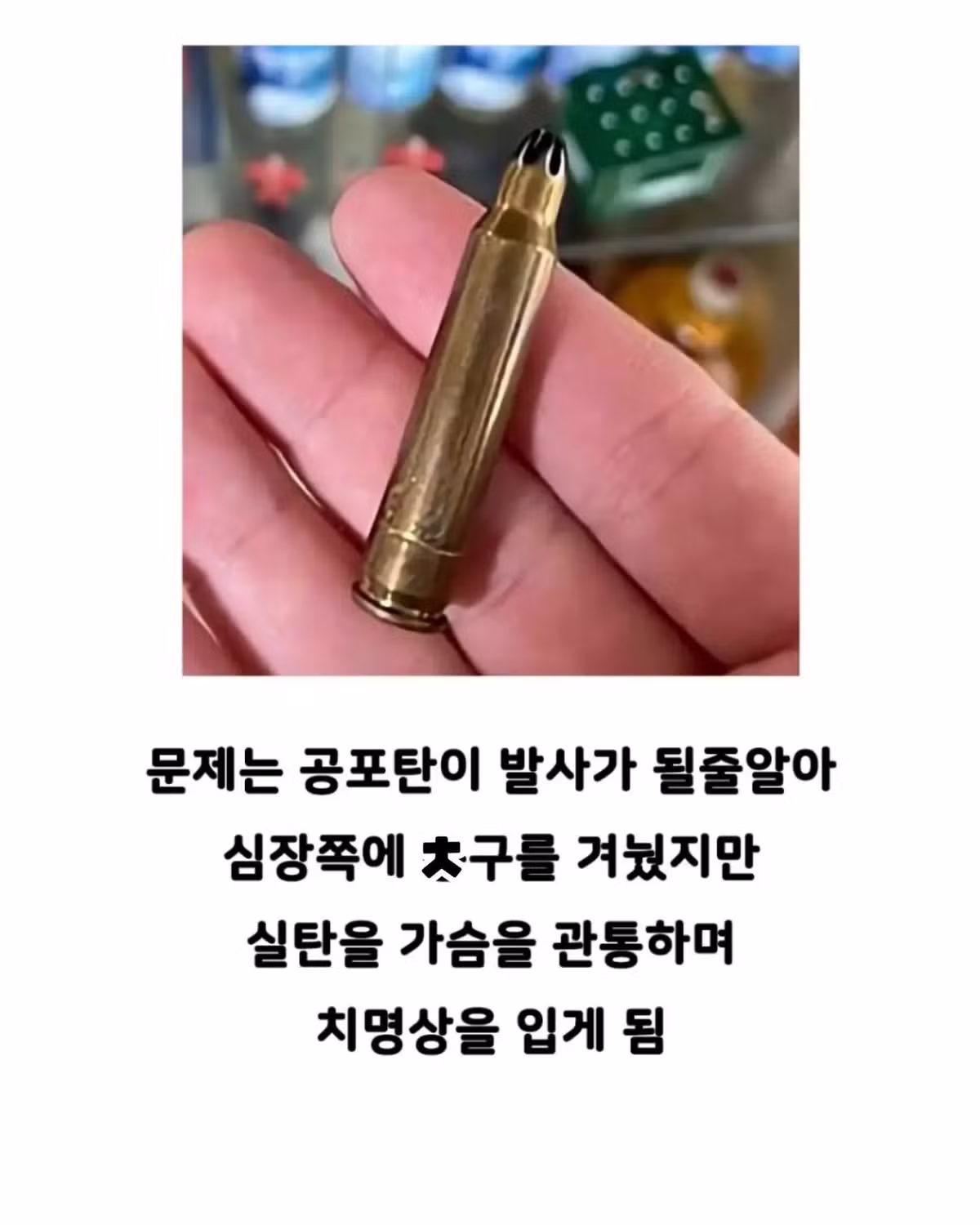 빵 먹었다고 의경한테 총 쏜 경찰 - 인벤 인기글 이미지 7 - 밈카세