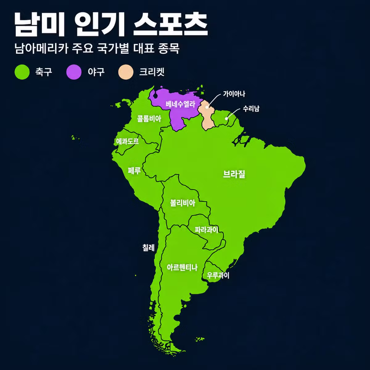 나라별 최고 인기 스포츠 정리 - 디시인사이드 인기글 이미지 3 - 밈카세