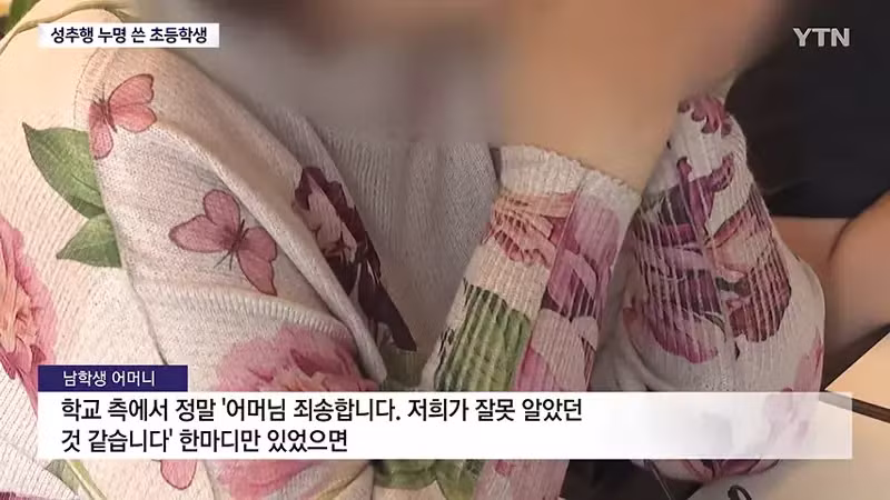 성추행범 누명 쓴 초등학생 사건 - SLR클럽 인기글 이미지 5 - 밈카세