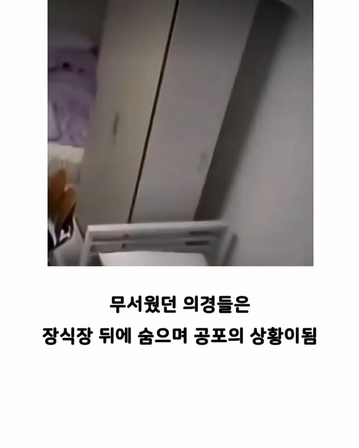 빵 먹었다고 의경한테 총 쏜 경찰 - 인벤 인기글 이미지 4 - 밈카세