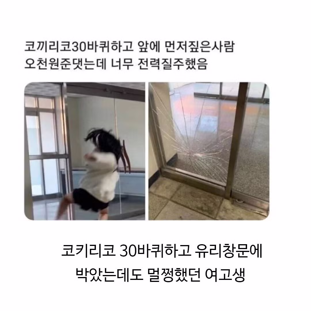 군필 여고생 피지컬 수준 - 에토랜드 인기글 이미지 2 - 밈카세