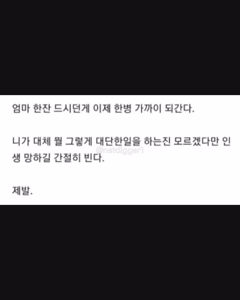 개독, 페미, 캣맘 다음으로 묶을 단어 추천 좀 - 보배드림 인기글 이미지 10 - 밈카세