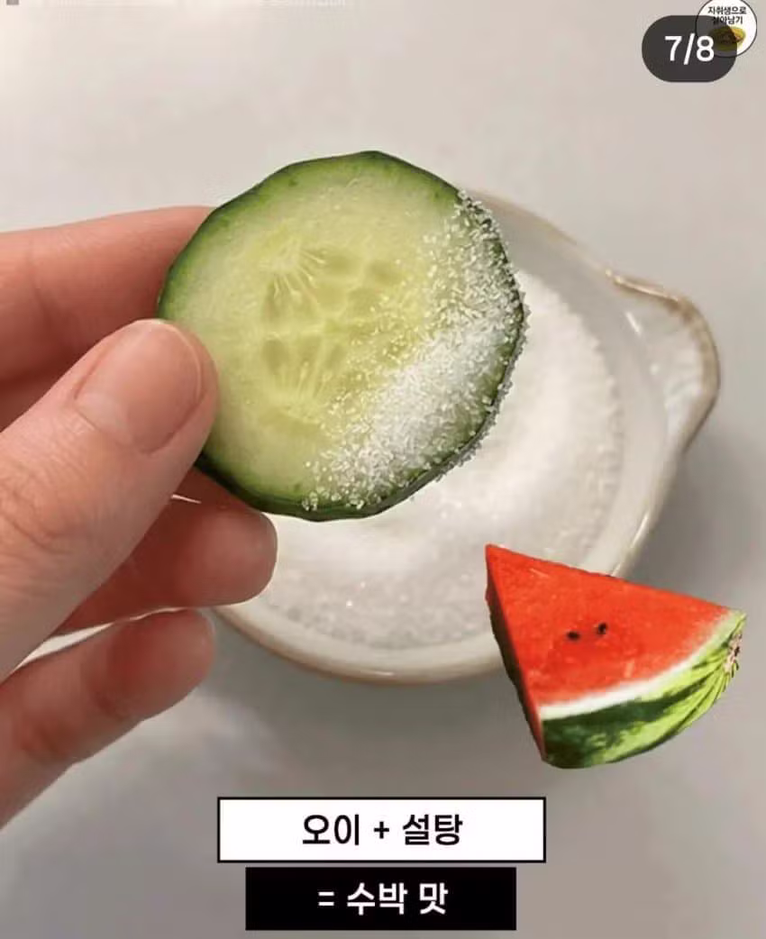 토마토에 김 싸 먹으면 다른 맛 난다는 조합 - 인벤 인기글 이미지 6 - 밈카세