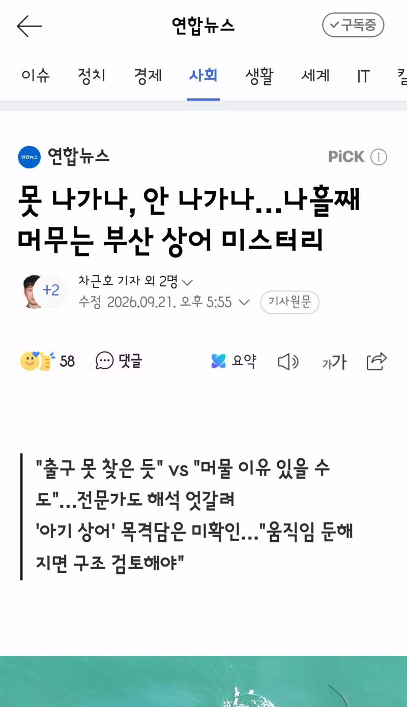 상어 덕분에 떡상한 죠스바랑 고래밥 - 클리앙 인기글 이미지 3 - 밈카세