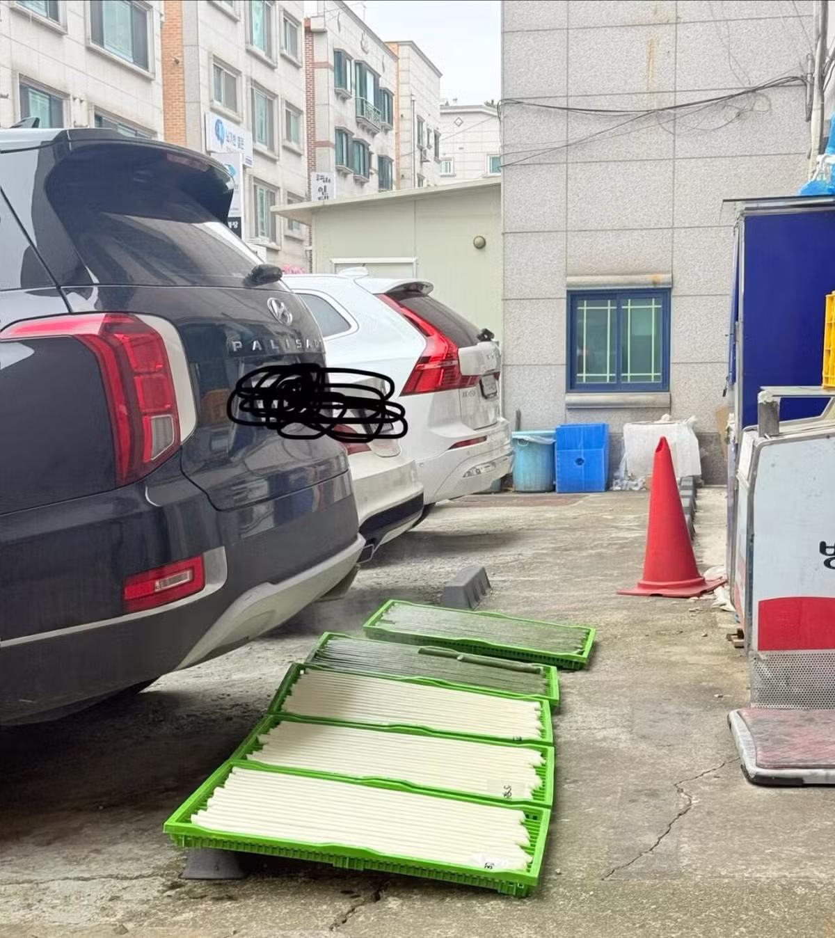 위생 관념 실종된 떡집이랑 김밥집 근황 - 디시인사이드 인기글 이미지 2 - 밈카세