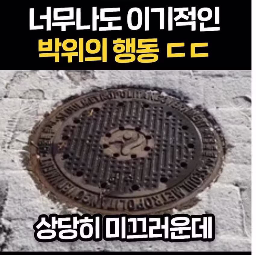 선한 영향력 논란 터진 박위 - 보배드림 인기글 이미지 10 - 밈카세