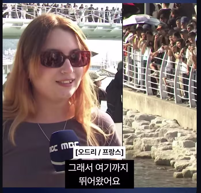 부산 상어 보러 온 프랑스인 - 에토랜드 인기글 이미지 4 - 밈카세