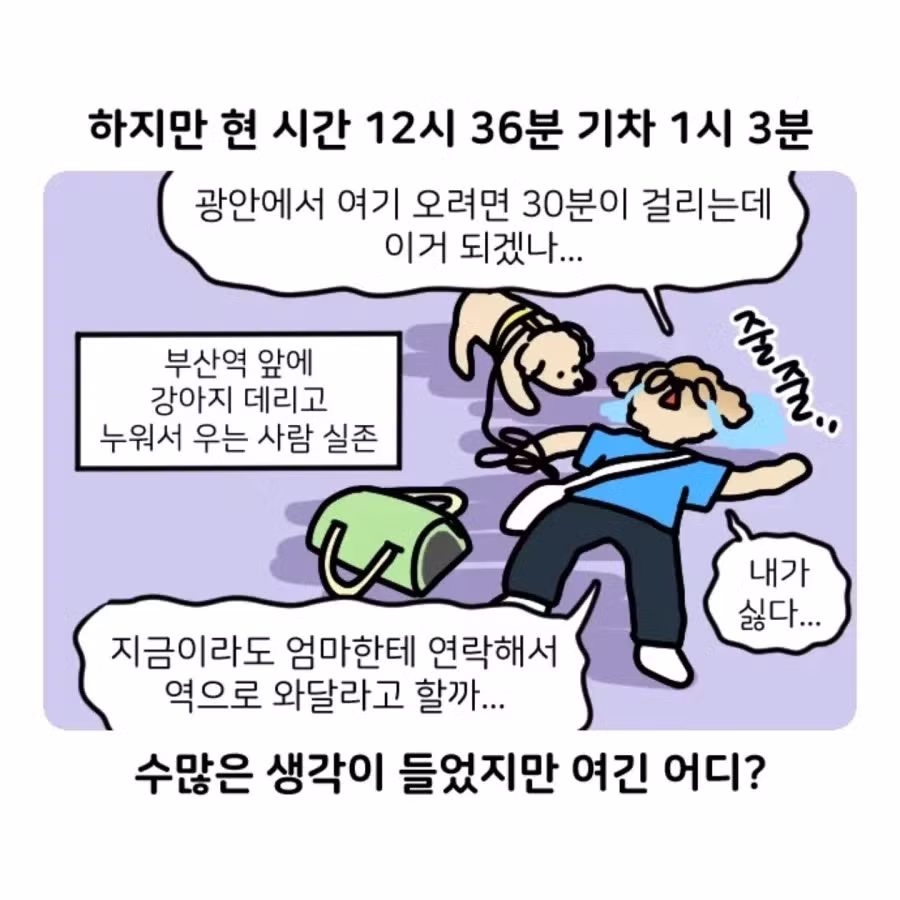 부캉이 가다 겪은 부산 택시 썰 - 디시인사이드 인기글 이미지 13 - 밈카세