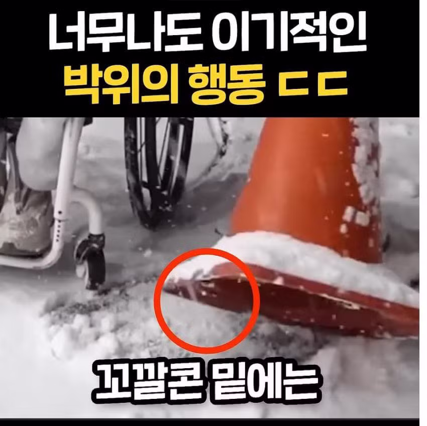 선한 영향력 논란 터진 박위 - 보배드림 인기글 이미지 5 - 밈카세