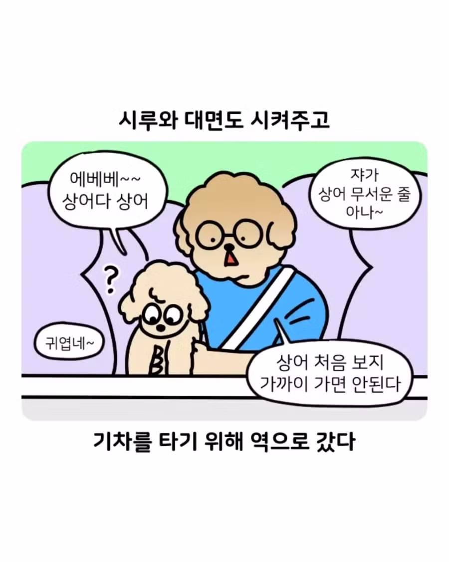 부캉이 가다 겪은 부산 택시 썰 - 디시인사이드 인기글 이미지 4 - 밈카세
