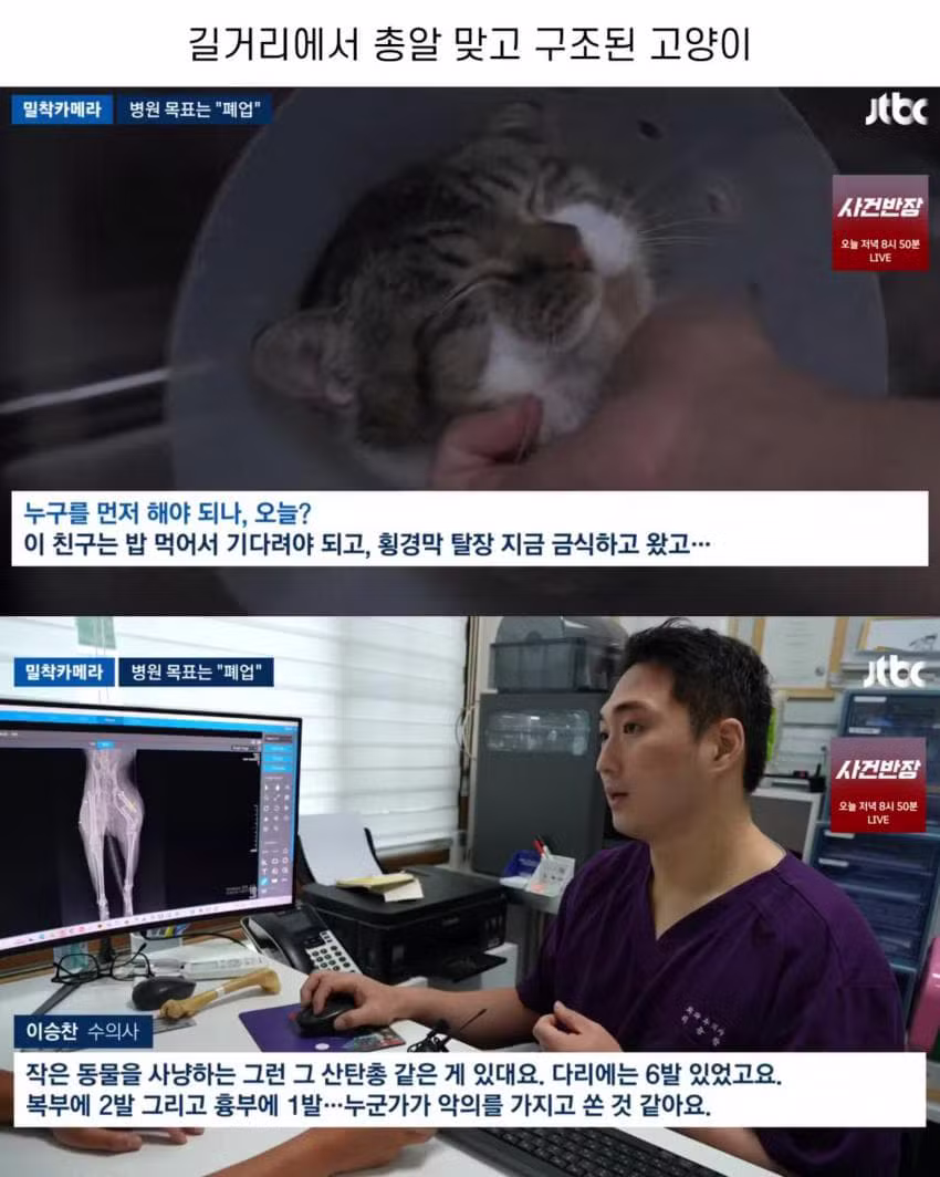 진료비 천원이라는 동물병원.jpg - 인벤 인기글 이미지 2 - 밈카세