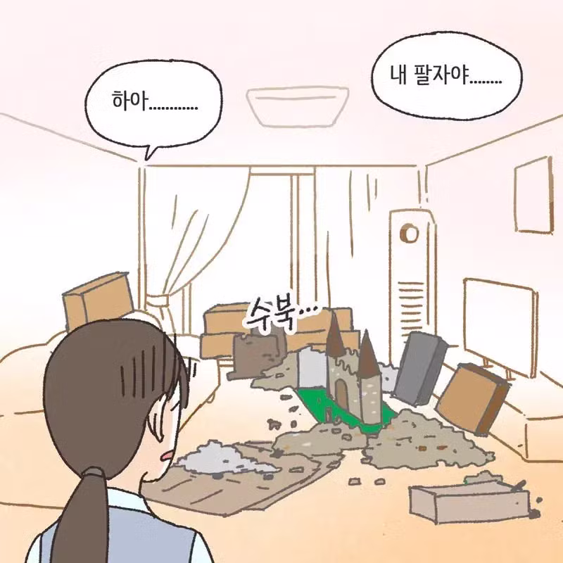레고에 미쳐서 이혼당하고 재산분할 45% 뜯긴 썰 - 와이고수 인기글 이미지 4 - 밈카세
