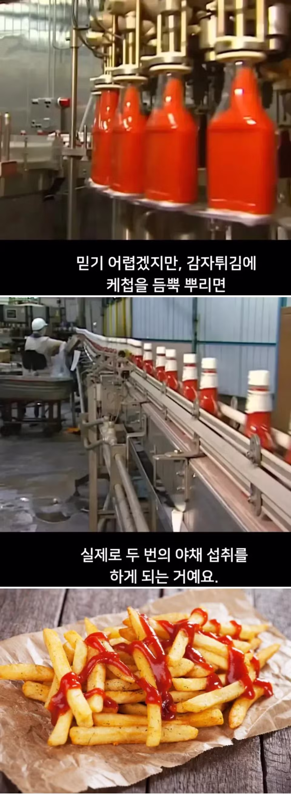 미국식 야채 샐러드 - 와이고수 인기글 이미지 2 - 밈카세