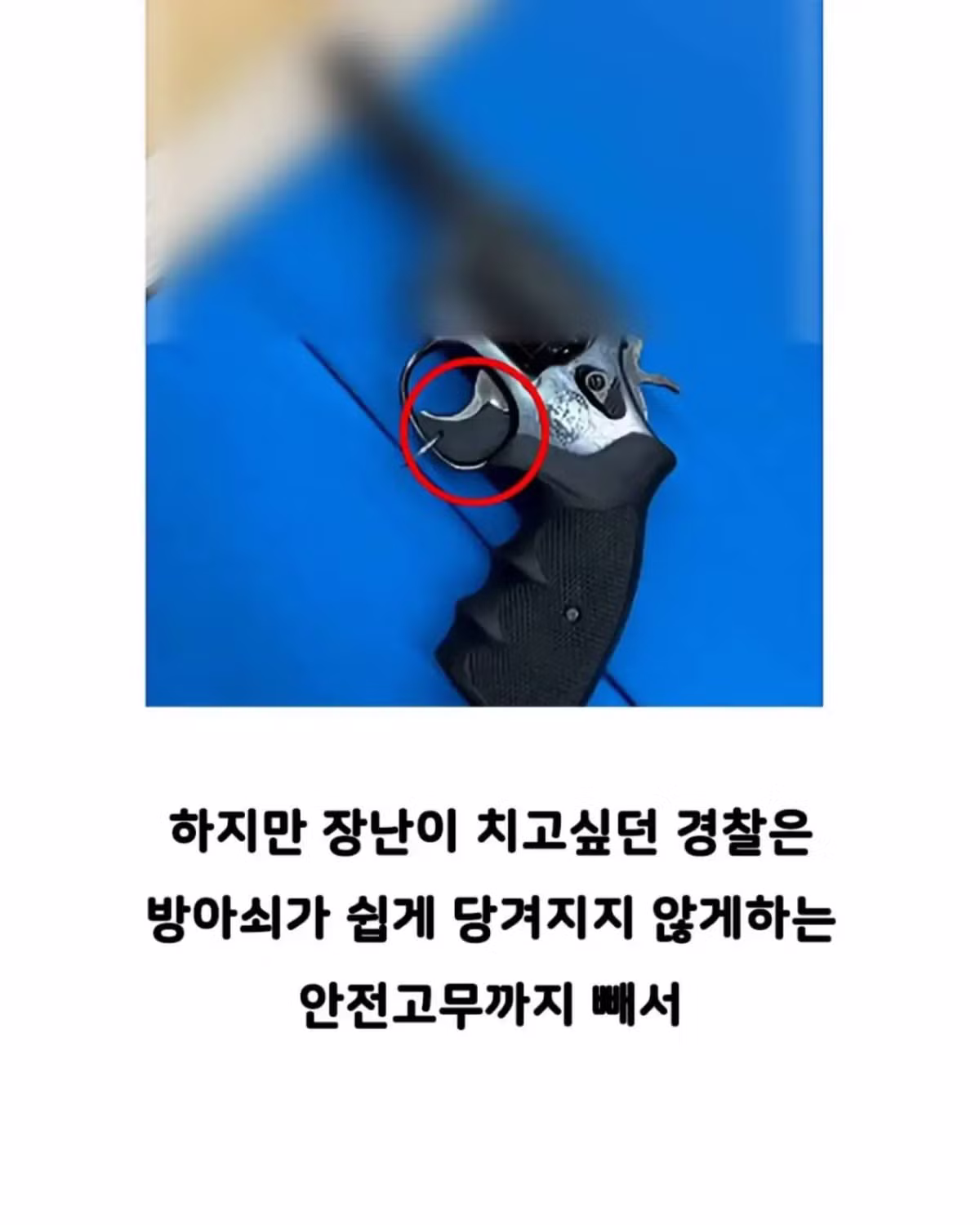 빵 먹었다고 의경한테 총 쏜 경찰 - 인벤 인기글 이미지 5 - 밈카세