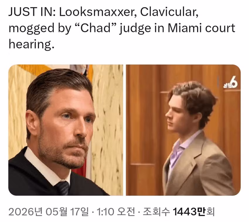 잘생긴 게 최고라는 범죄자 참교육한 판사 - 개드립 인기글 이미지 7 - 밈카세