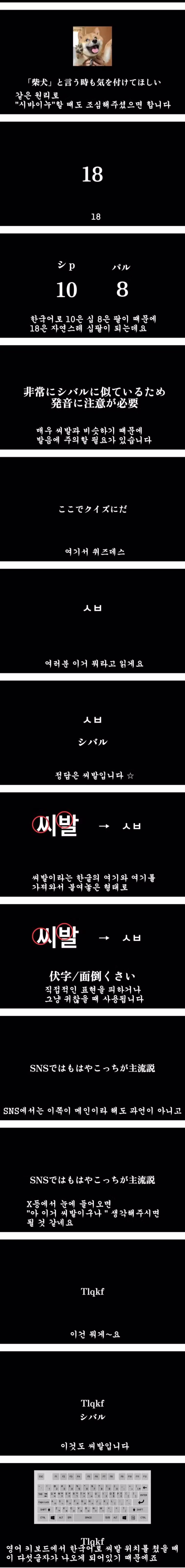 일본인 유튜버가 알려주는 씨발의 뜻 - 와이고수 인기글 이미지 2 - 밈카세