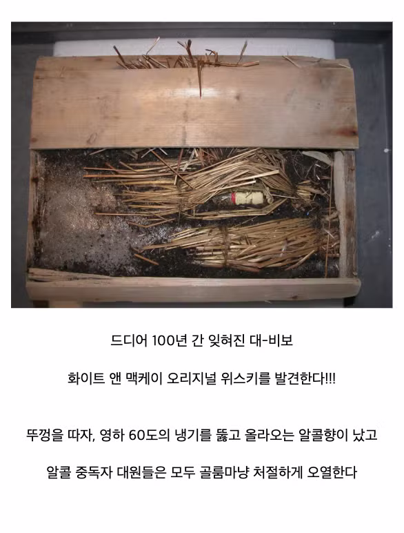 역사상 개또라이 같은 로스트 테크놀로지 복원 - 인벤 인기글 이미지 13 - 밈카세