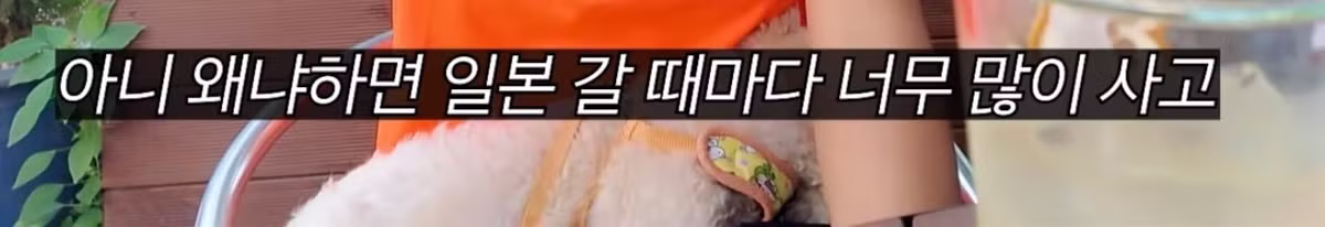 남편 수집품 2억원치를 200만원에 팔아버린 와이프 - 보배드림 인기글 이미지 5 - 밈카세