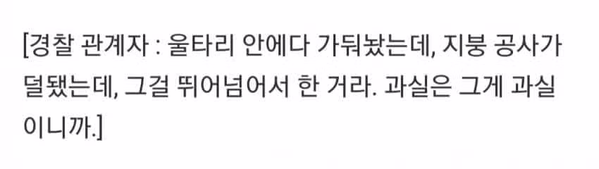 신혼여행 왔다가 보더콜리한테 물린 사고 - 에토랜드 인기글 이미지 5 - 밈카세