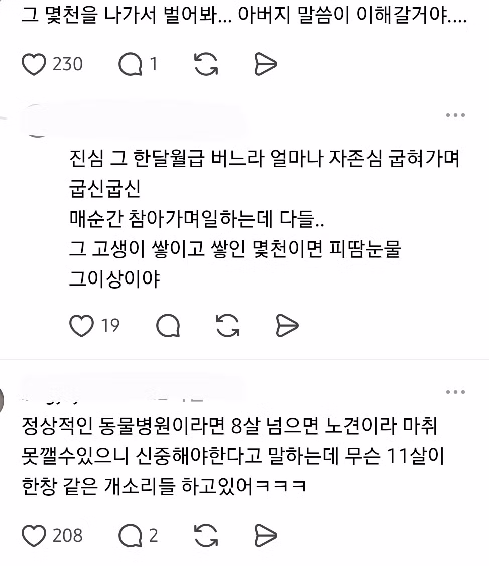 노견 수술비 수천만 원, 해줘야 할까? - 보배드림 인기글 이미지 2 - 밈카세