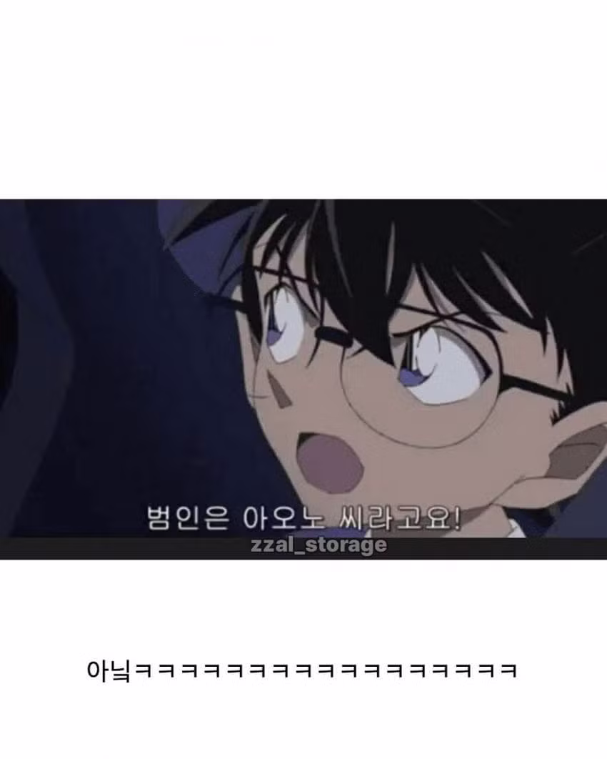 명탐정 코난의 레전드 추리 - 와이고수 인기글 이미지 4 - 밈카세