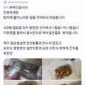 간식에 칼날 테러당한 여자코스어 ㄷㄷ