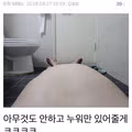마나토끼 금지에 맞서는 디씨의 마나토끼 운동가
