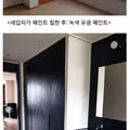 49평 아파트에 녹색 유성 페인트를 칠해버린 세입자 ㄷㄷㄷ