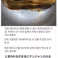 전라도 맛집을 경험해버린 일본인.jpg