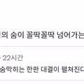 쉬었음 청년과 안뽑음 기업 사이에 있는 것