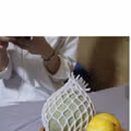 어느 동네의 멕시칸 치크힌 가게