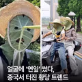 중국에서 퍼지고 있다는 햇빛 차단법