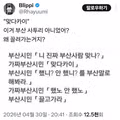 부산 짜배이 검거 방법.jpg