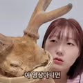 점점 기괴한 요리를 하고 있는 채널