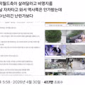 현재 민원 폭탄에 절박한 심정이라는 코믹월드 근황