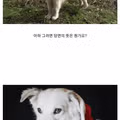 중국당면의 뜻