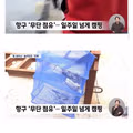 경찰도 못 건드는 텐트족 근황 ㄷ