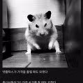 유튜브 프리미엄이 가격을 올릴 때 나는 외쳤다