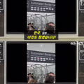 초강대국 중국 여권의 위상