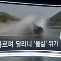 한국고유  멸종위기종을 죽이는 오프로드 동호회
